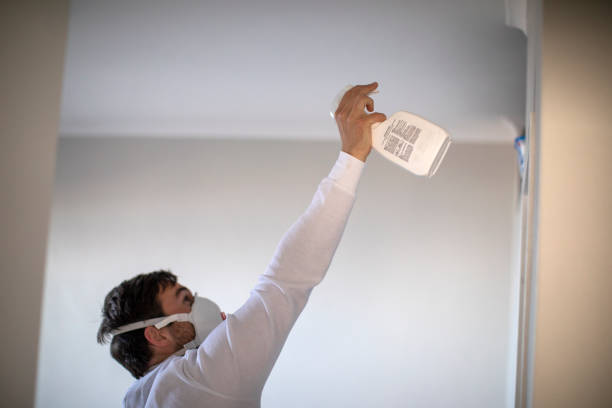 Best Attic Mold Removal  in Paxton, IL