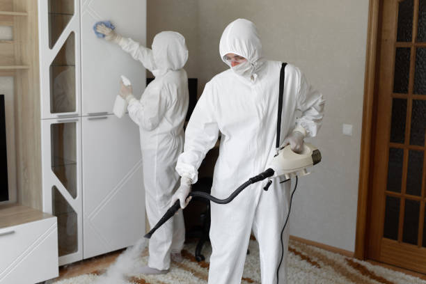 Best Certified Mold Removal  in Paxton, IL