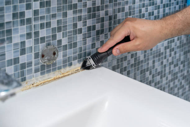 Mold Testing and Removal in Paxton, IL