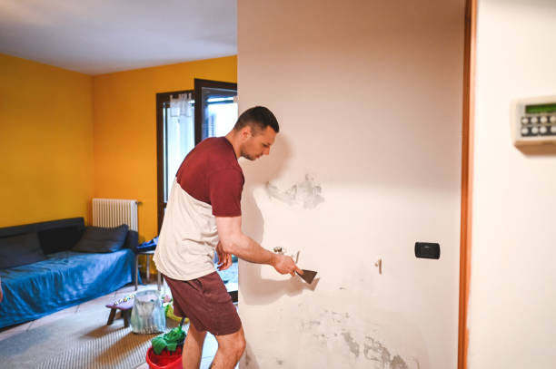 Best Fast Mold Removal  in Paxton, IL