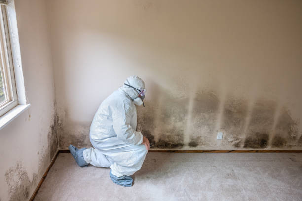 Water Damage Restoration in Paxton, IL